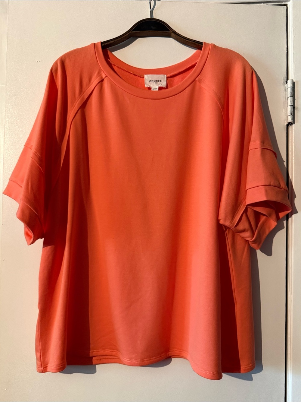 Andree Coral Relaxed Short Sleeve Crewneck Sweatshirt